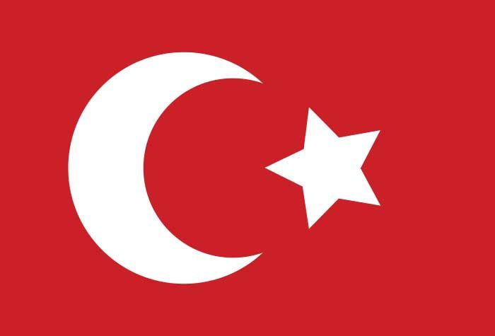 Eski Türk Devletleri Bayrakları